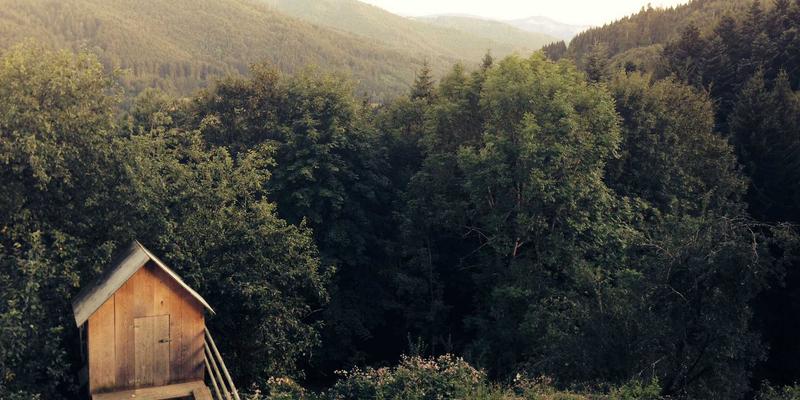 GP医疗新篇章：肠道微生态精准调理，重塑贵宾健康管理的核心方案