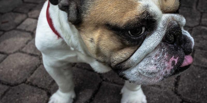 GP医疗、贵宾医疗与专属医疗服务：重新定义高端医疗健康新范式