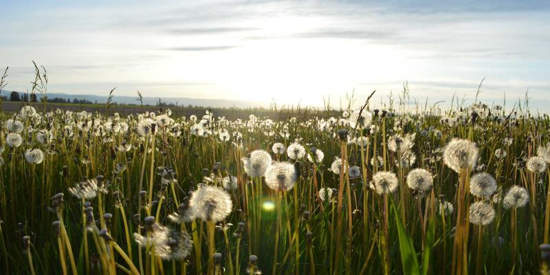 专属医疗服务如何重塑心理健康支持：高端医疗保险中的私人医生与预防医学体系