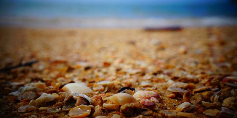 专属医疗服务新高度：肿瘤超早期筛查技术与跨学科预防干预体系如何重塑健康管理