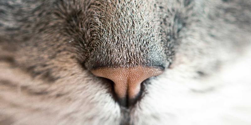 专属医疗服务：高端医疗如何通过私人医生重塑健康管理新范式