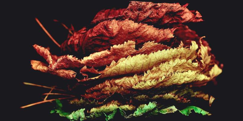 从健康管理到精准预防：高端私人医生如何通过功能医学检测定制个人化营养方案