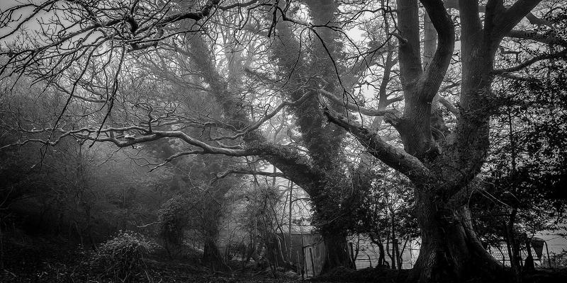 健康管理新维度：GP医疗如何通过运动医学为企业高管提供专属医疗服务与表现提升