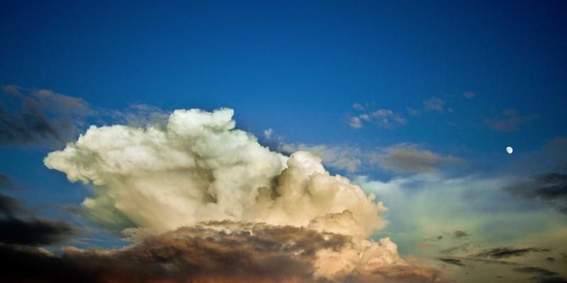 私人医生与贵宾医疗：高端医疗机构的细胞存储与抗衰老服务，为未来健康投资