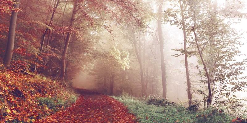 融合中医治未病与现代功能医学：高端医疗如何打造个性化健康管理方案