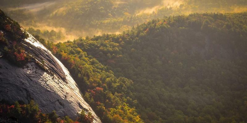 解锁高端医疗新维度：海外就医绿色通道如何重塑您的健康管理与私人医生服务