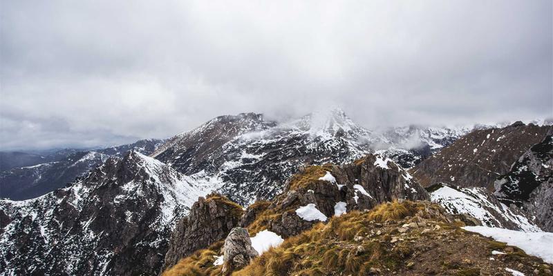 贵宾医疗如何守护未来：为高净值家庭打造新生儿与儿童早期健康发育专属监测体系
