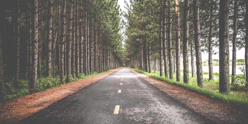 预防医学与健康管理新高度：如何通过专属医疗服务获取全球顶尖第二诊疗意见