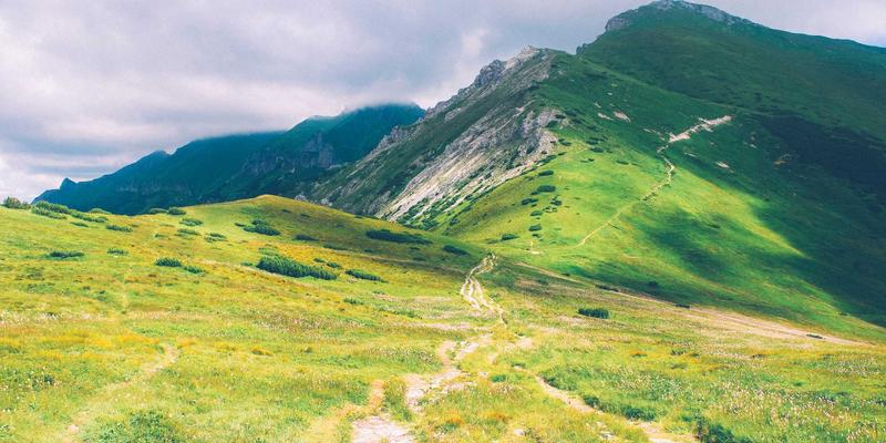 预防医学新纪元：GP医疗与私人医生如何运用基因检测实现心血管疾病的精准防控