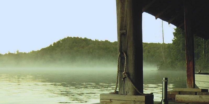 高端健康管理与预防医学新前沿：环境医学视角下的居家办公毒素检测与优化方案