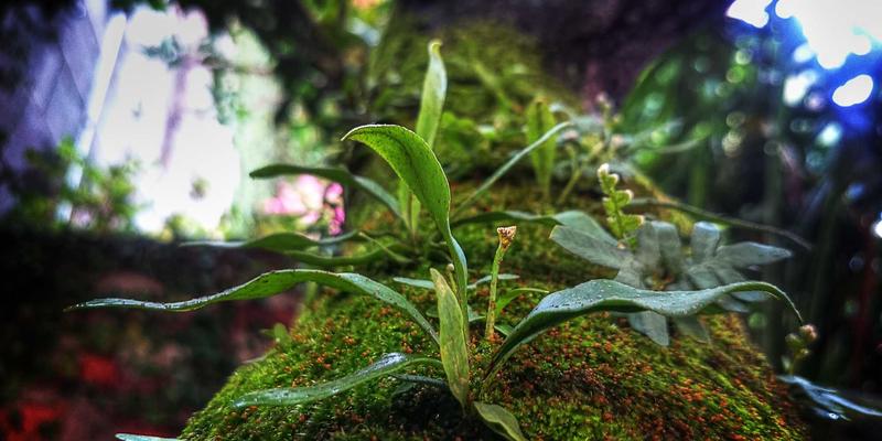 高端健康管理新维度：贵宾医疗中的精准营养干预如何重塑预防医学