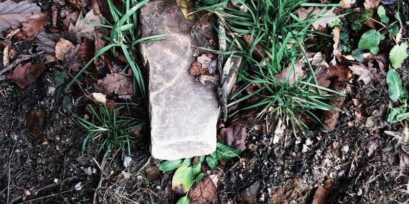 高端医疗3.0：从疾病治疗到健康管理的革命，GP医疗与预防医学如何重塑健康未来