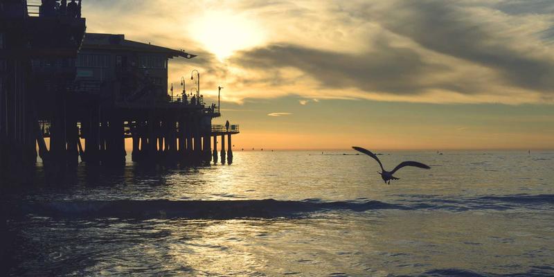 高端医疗92：以预防医学为核心，GP医疗体系如何重塑健康未来