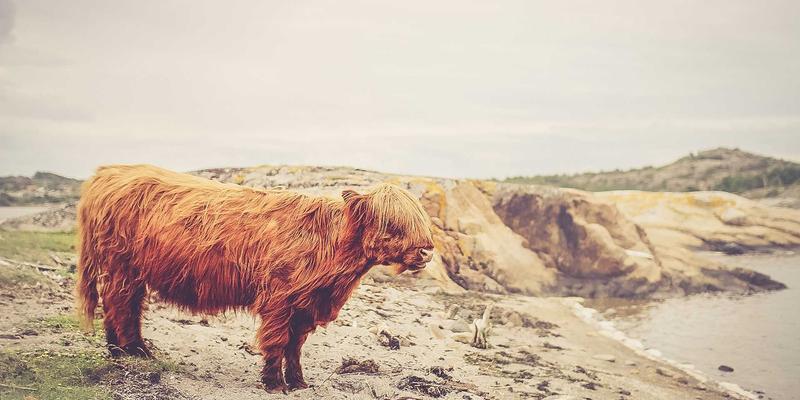 高端医疗对比:健康管理、贵宾医疗与GP医疗,如何选择最适合您的健康守护?