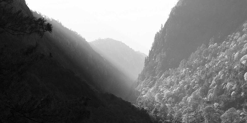 高端医疗:超越疾病治疗的预防医学与GP医疗整合之道